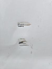Дверь передняя правая Mazda CX 7 2007-2012 818529