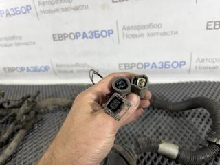 Проводка (коса) Nissan Almera N16 2000-2006 815365