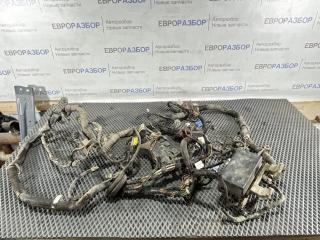 Проводка (коса) Nissan Almera N16 2000-2006 815366