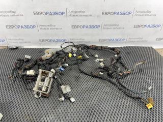 Проводка (коса) Nissan Almera N16 2000-2006 815229