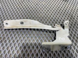 Петля капота правая Nissan Tiida (C11) 2007-2014 814222